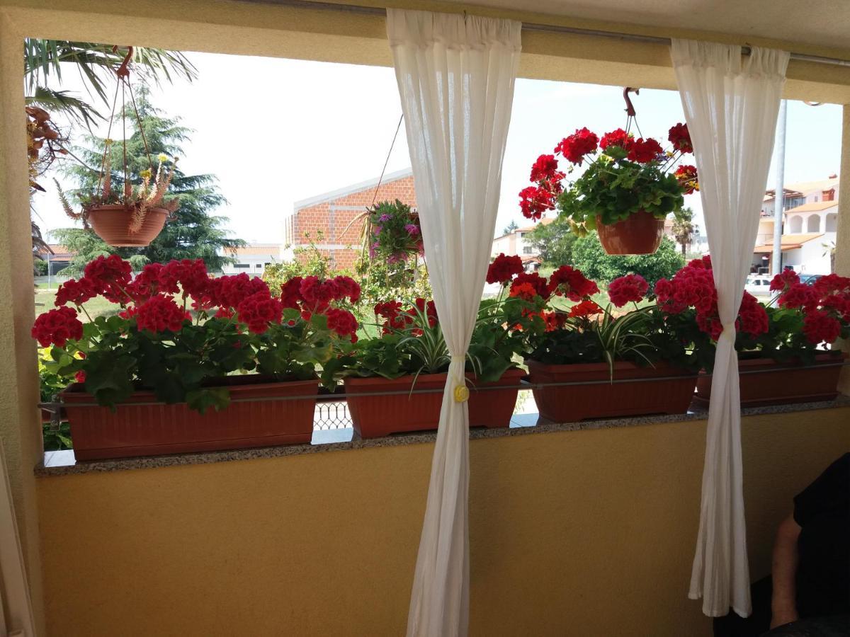 Apartman Luka Fažana Zewnętrze zdjęcie